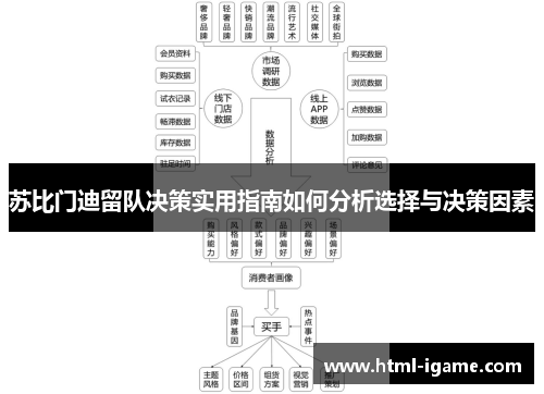苏比门迪留队决策实用指南如何分析选择与决策因素