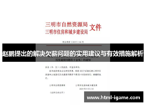 赵鹏提出的解决欠薪问题的实用建议与有效措施解析