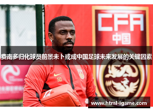 费南多归化球员前景未卜或成中国足球未来发展的关键因素