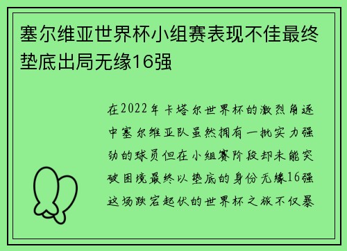 塞尔维亚世界杯小组赛表现不佳最终垫底出局无缘16强