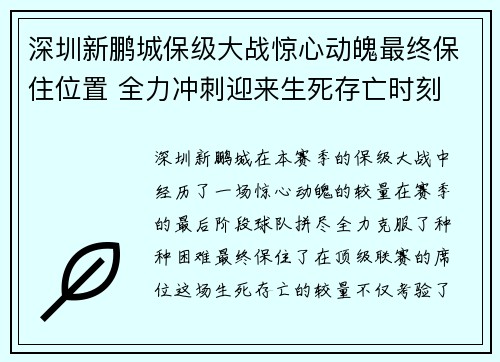 深圳新鹏城保级大战惊心动魄最终保住位置 全力冲刺迎来生死存亡时刻